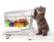 Pet shop online